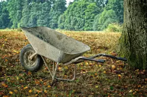 Výklad Karet